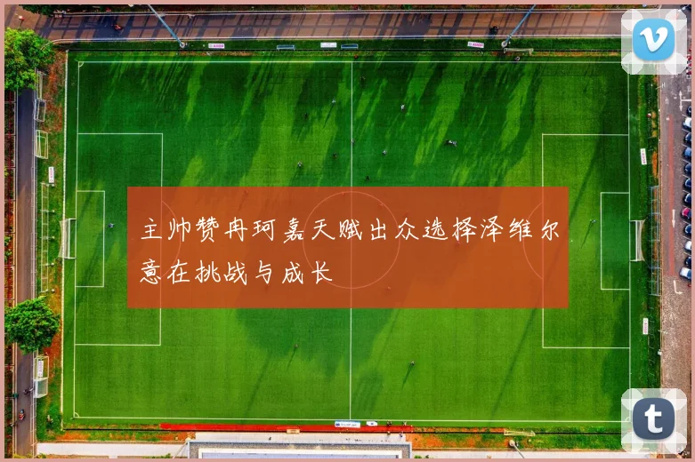 主帅赞冉珂嘉天赋出众选择泽维尔意在挑战与成长